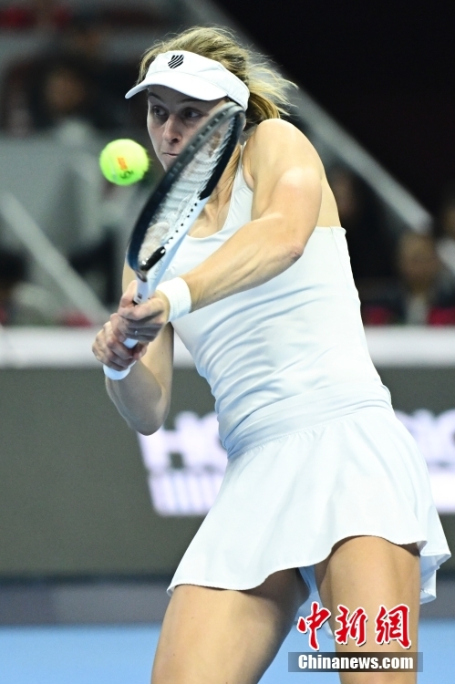 范式样本 范式样本